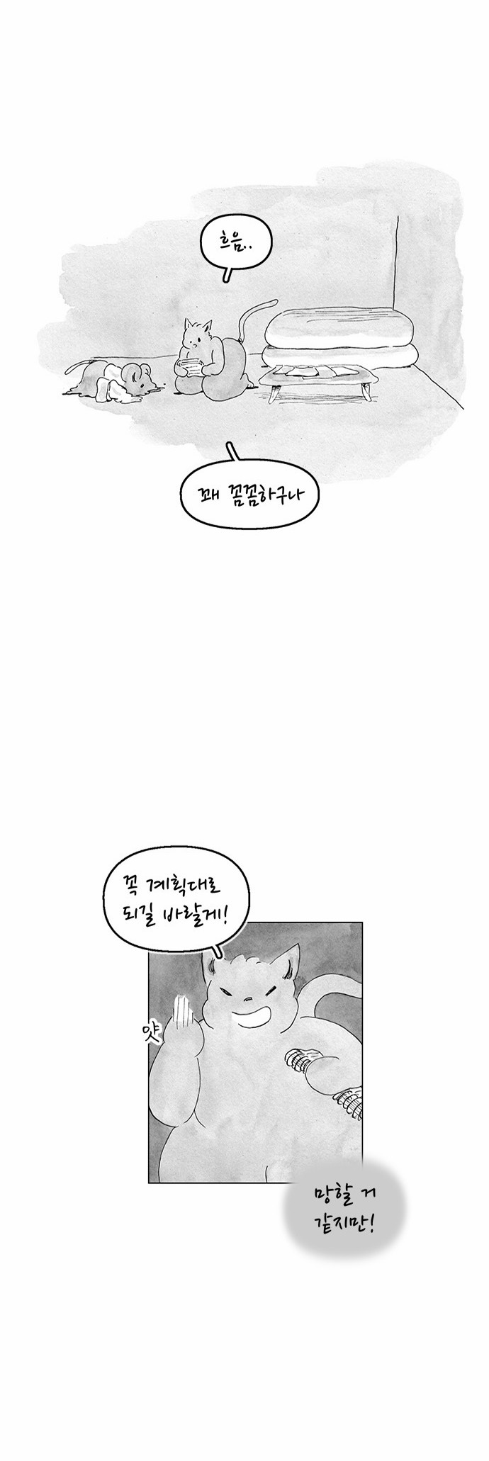 13 페이지