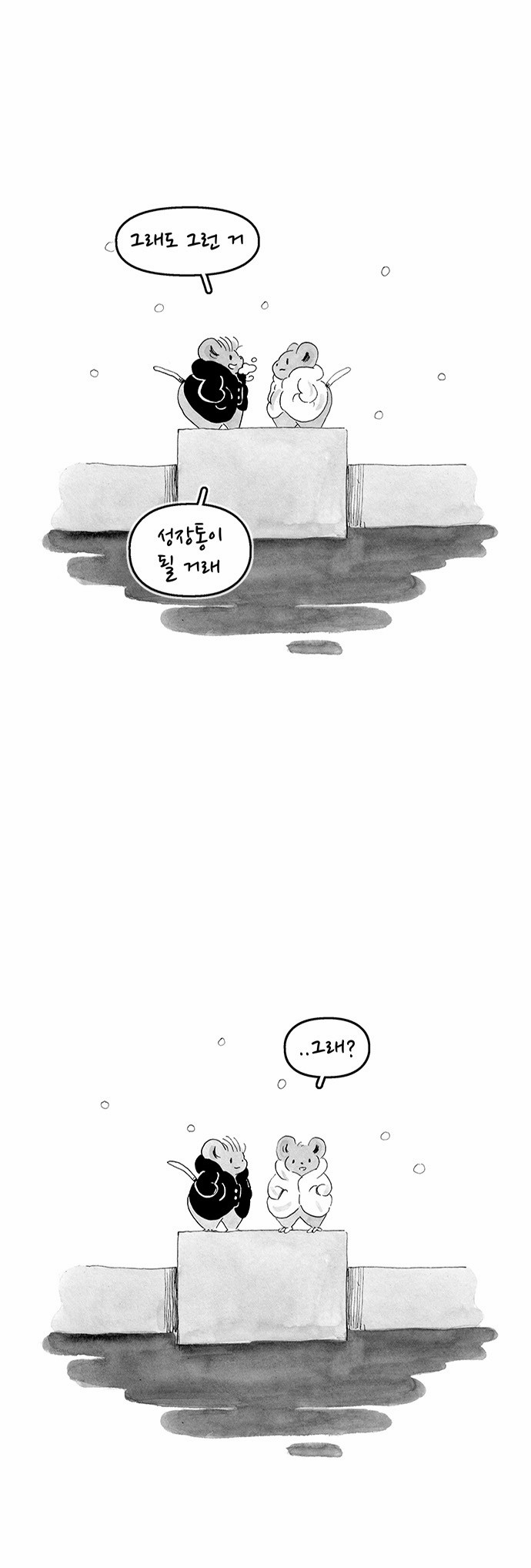 15 페이지