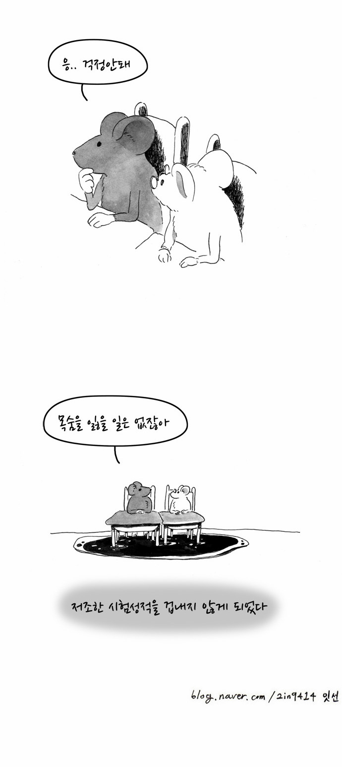 11 페이지