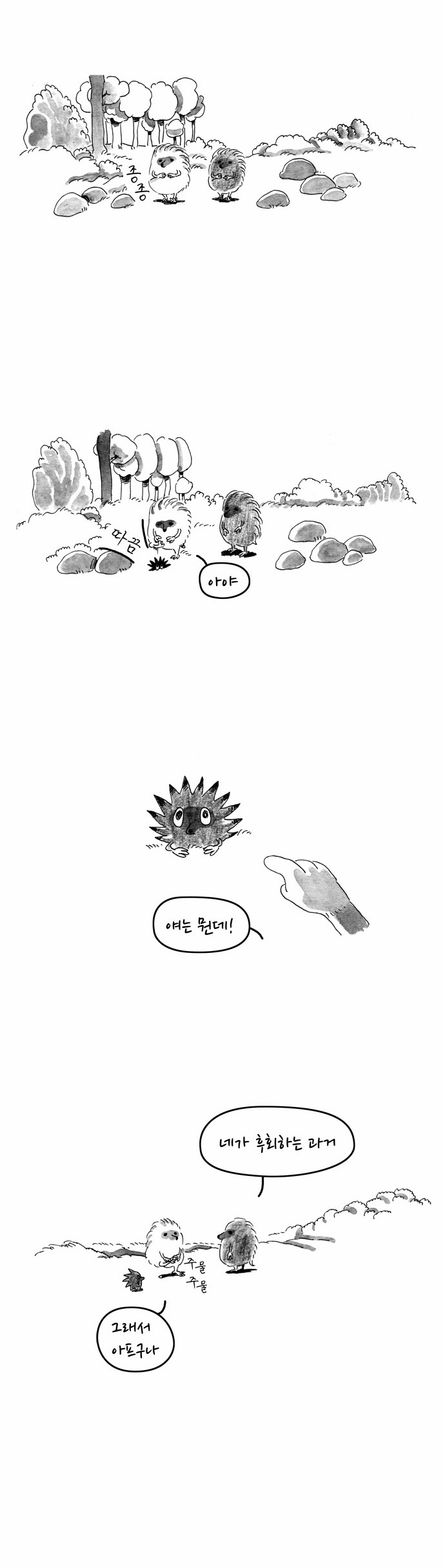 5 페이지