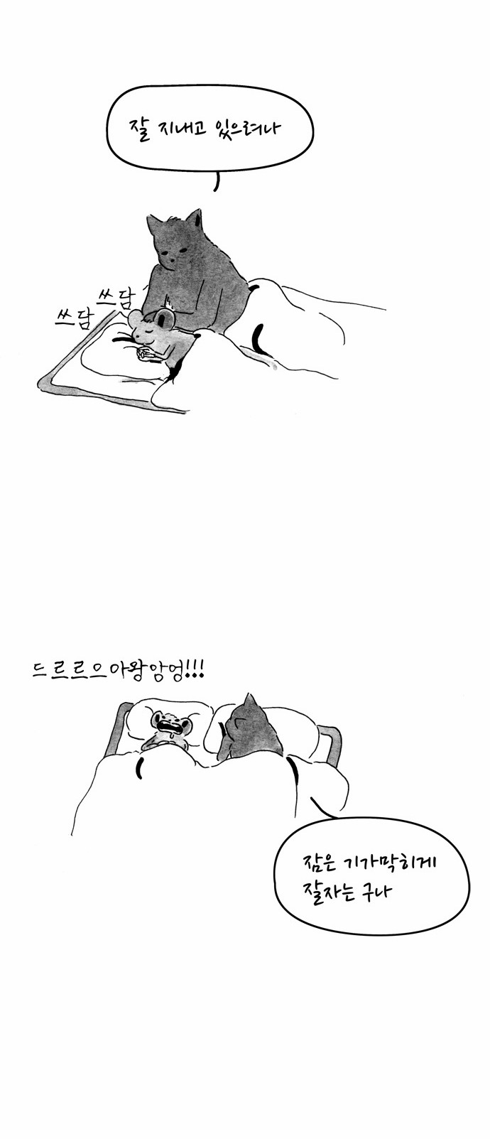 6 페이지