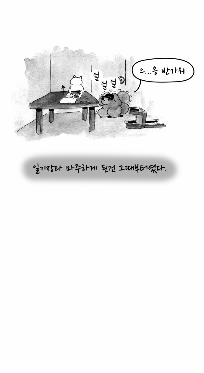 5 페이지