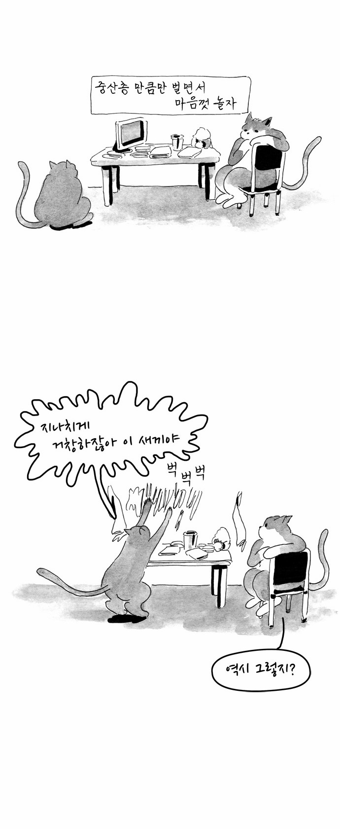 6 페이지