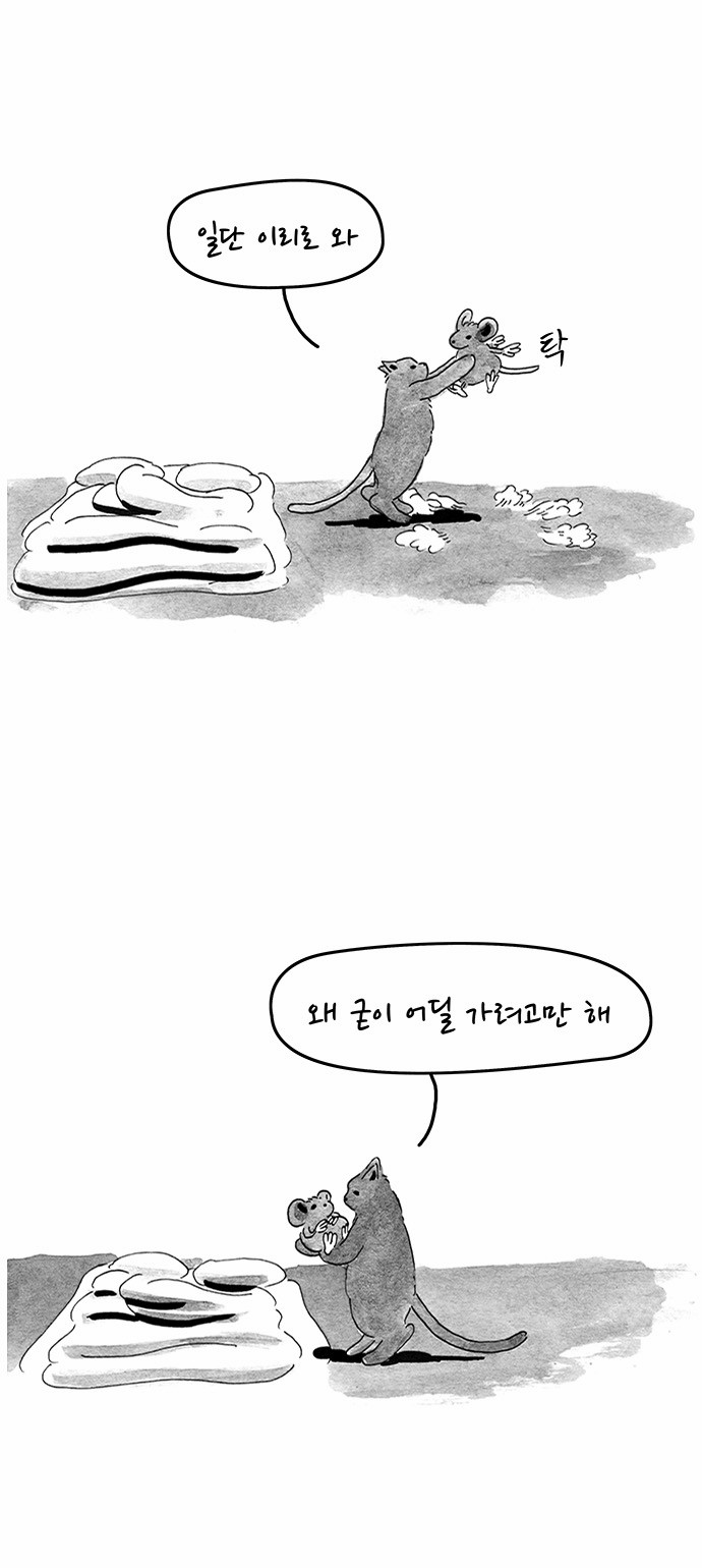 8 페이지