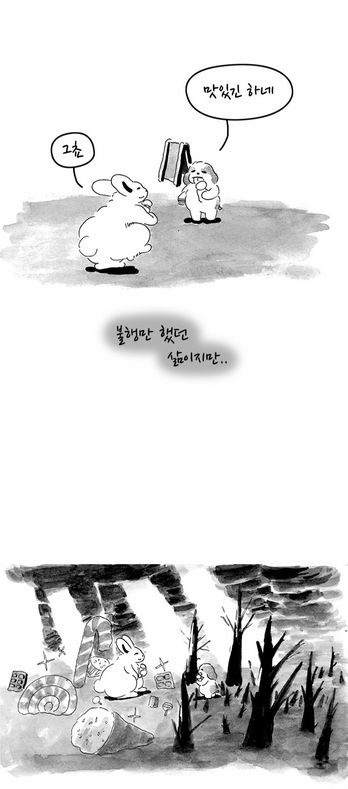16 페이지