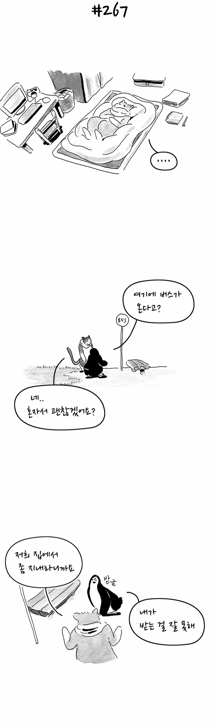 13 페이지