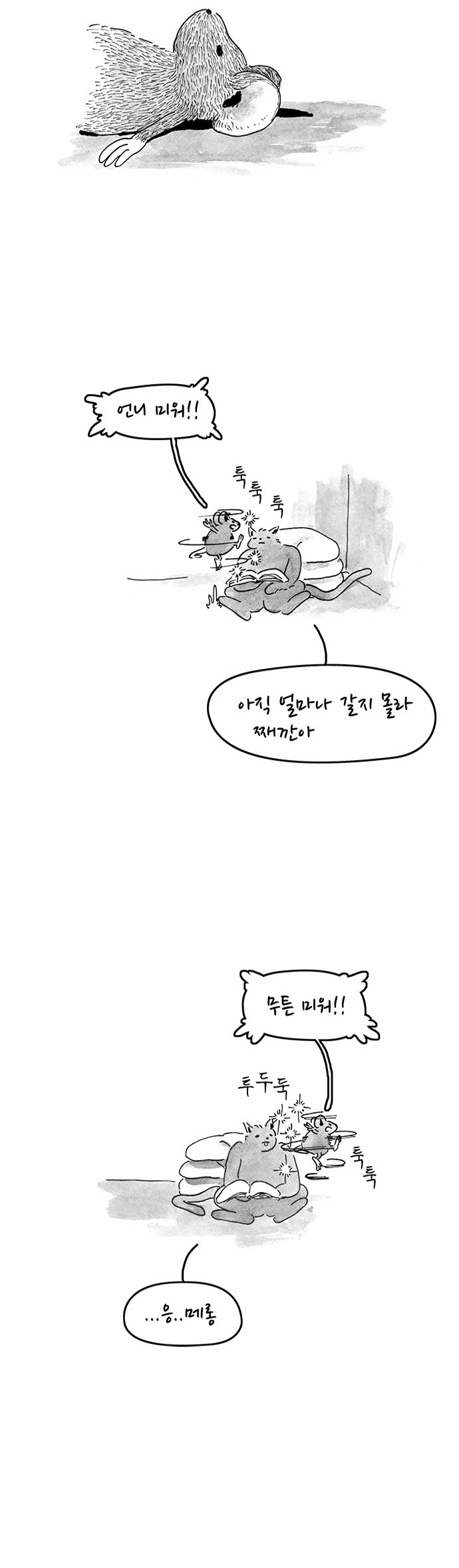 5 페이지