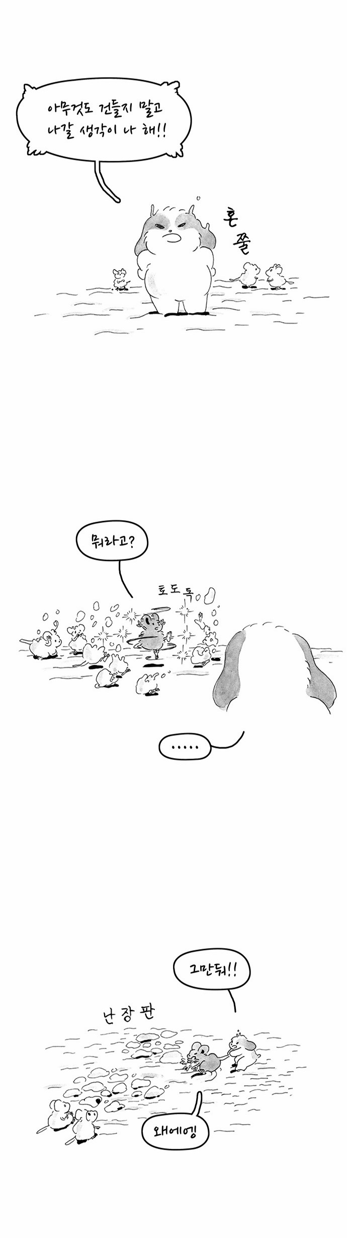 5 페이지