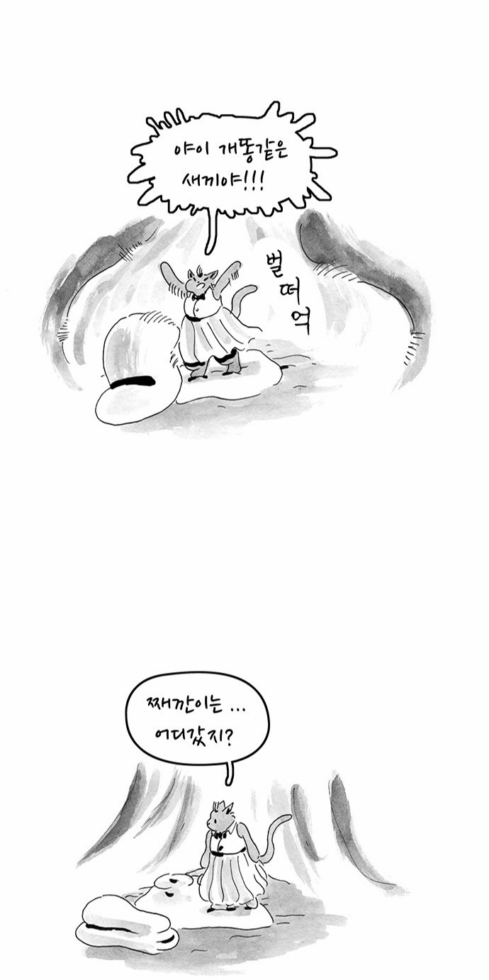 14 페이지
