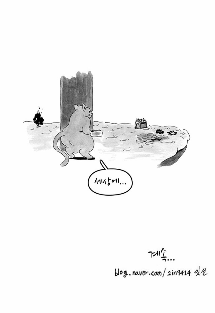 14 페이지