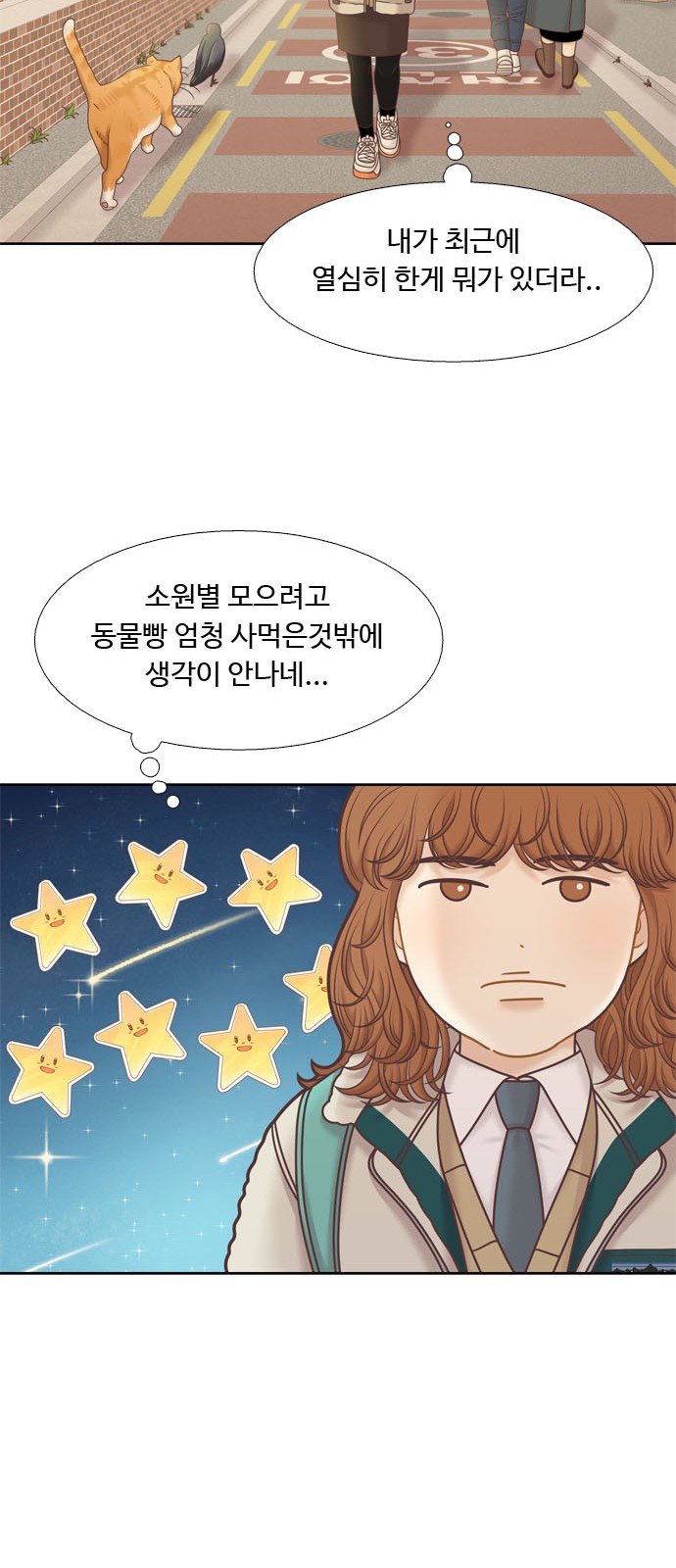 31 페이지