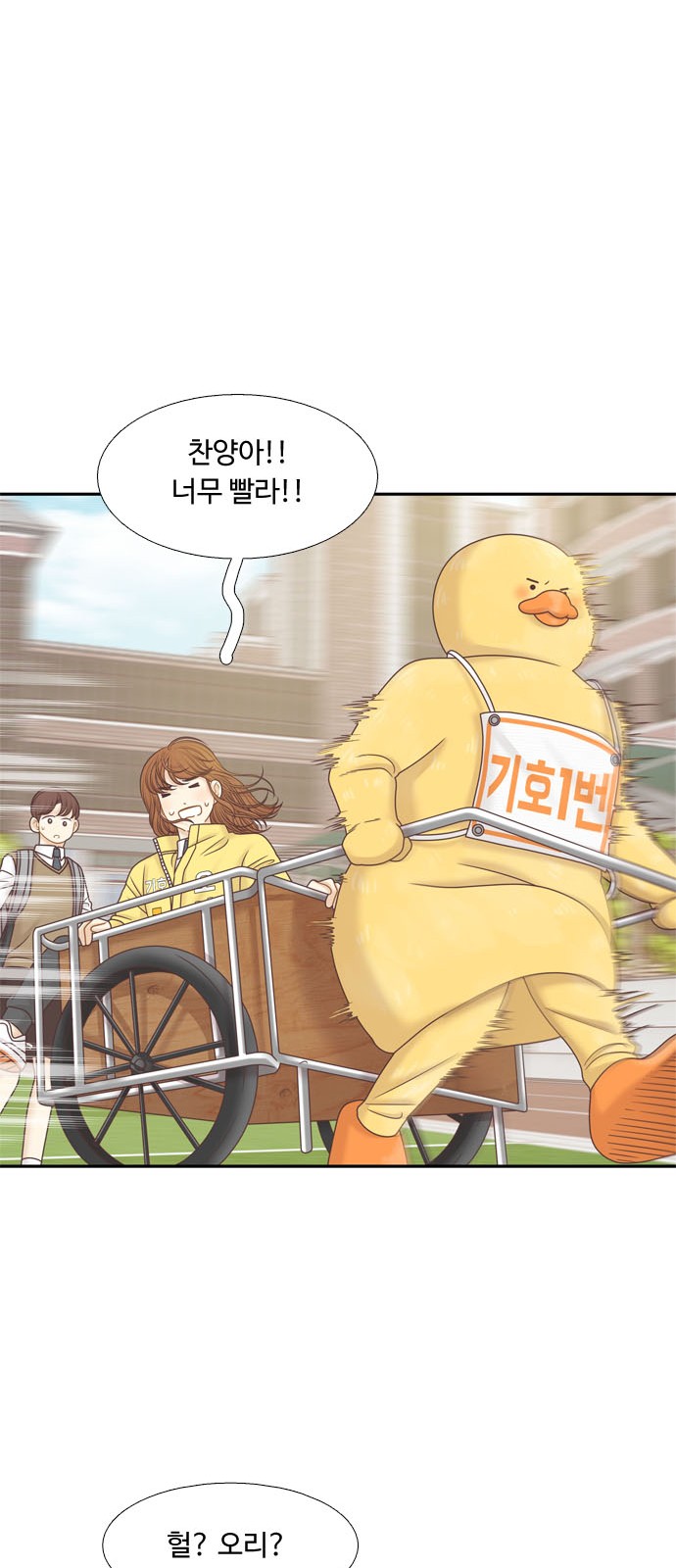 51 페이지