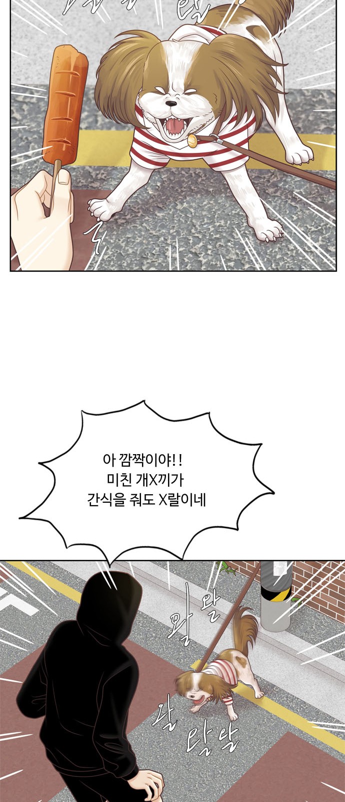 43 페이지