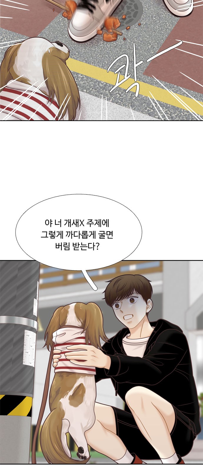15 페이지