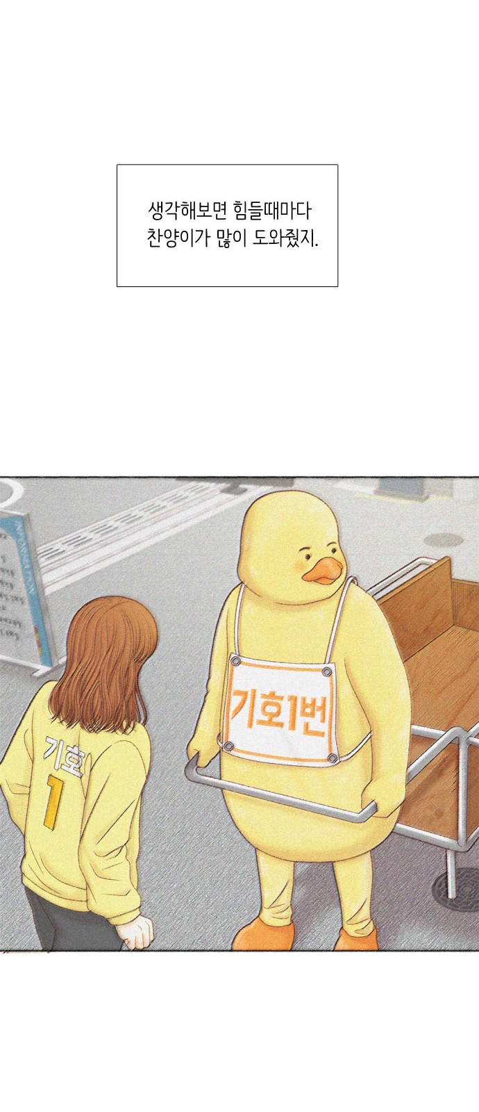 53 페이지