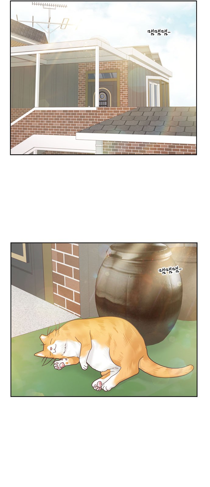 41 페이지