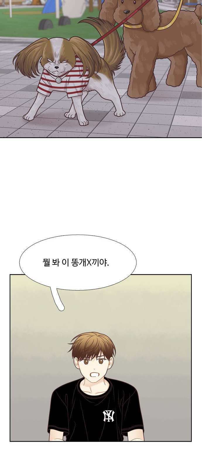 44 페이지