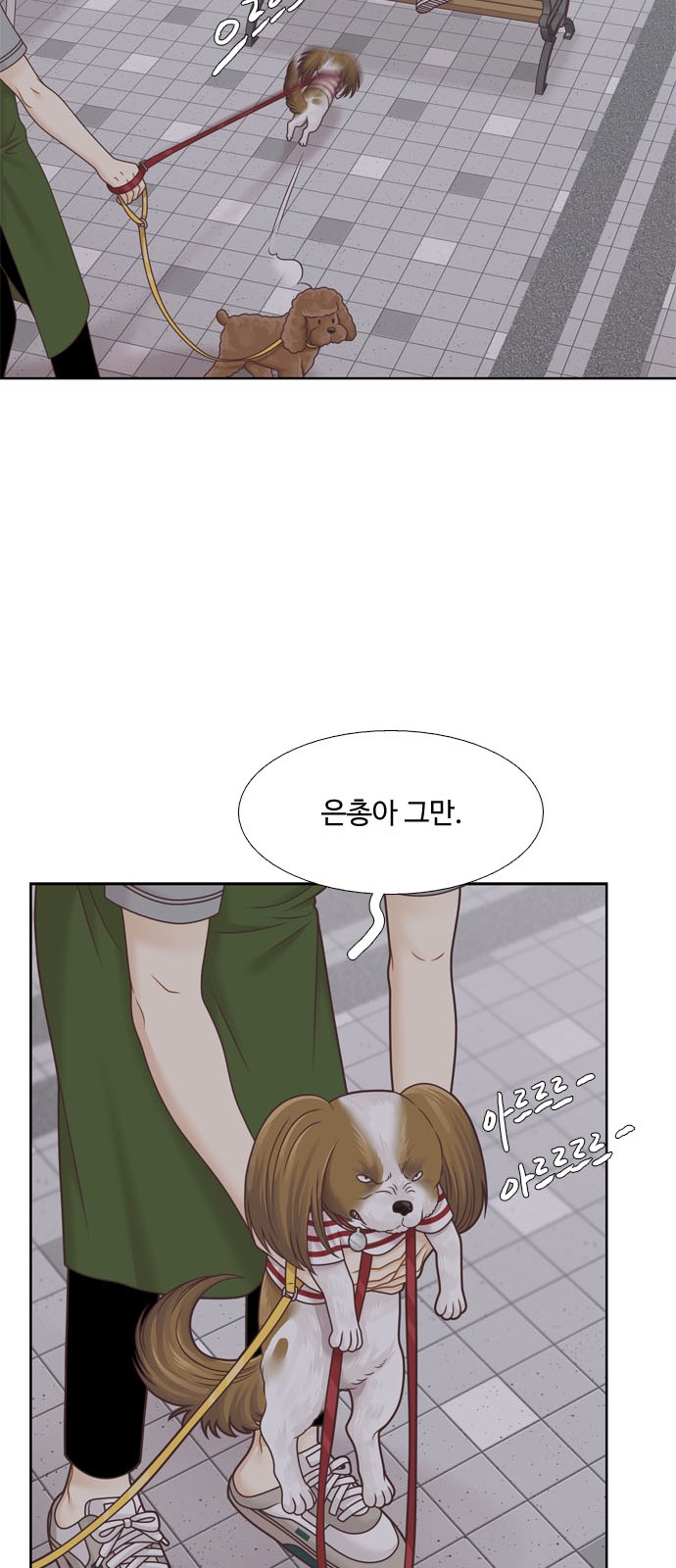 46 페이지