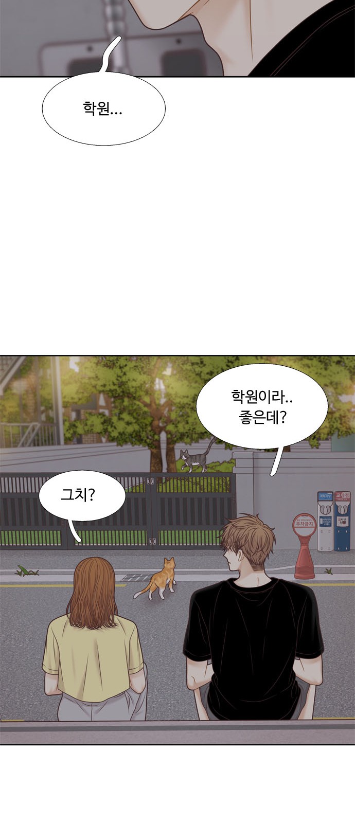 41 페이지