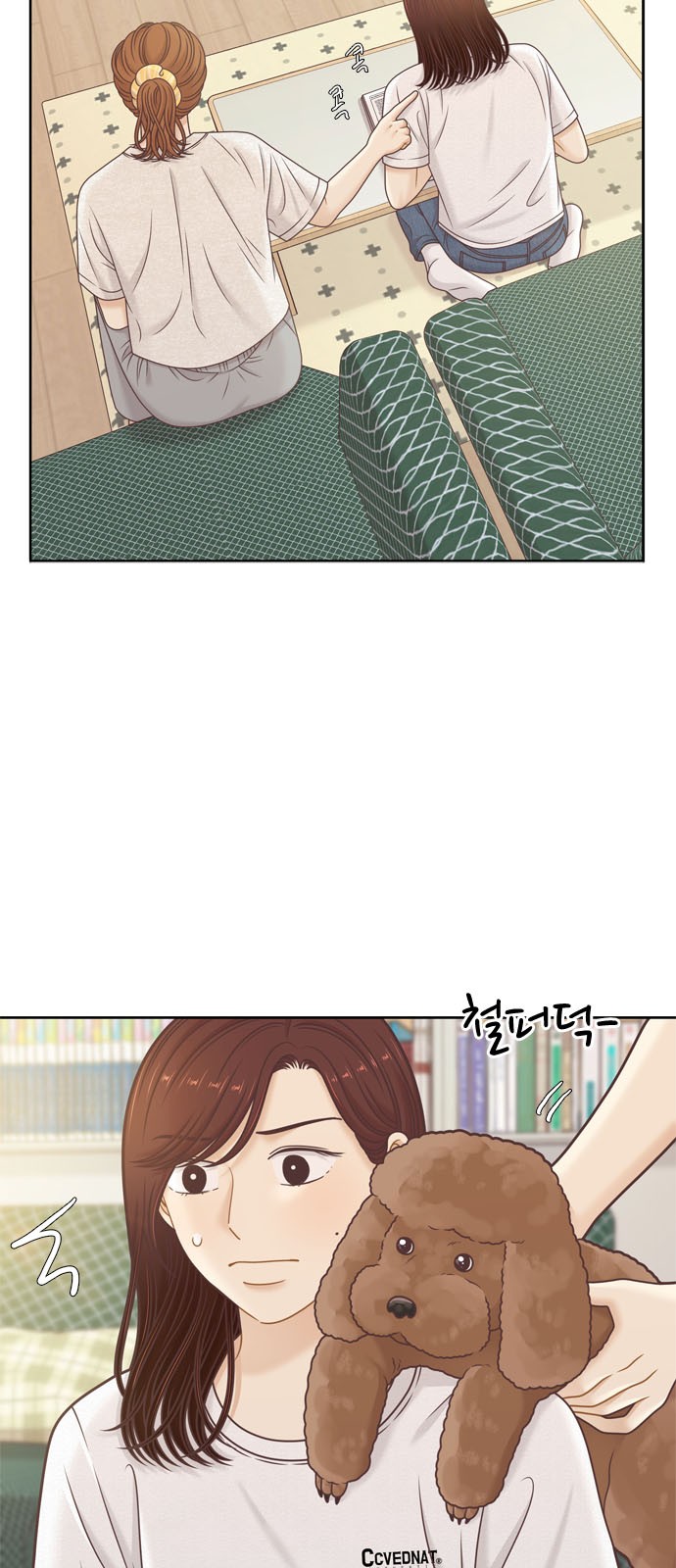 12 페이지
