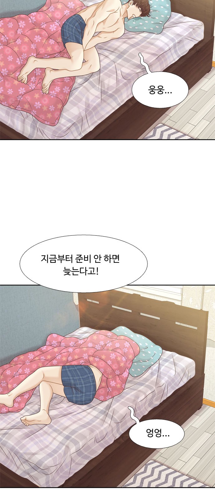 5 페이지