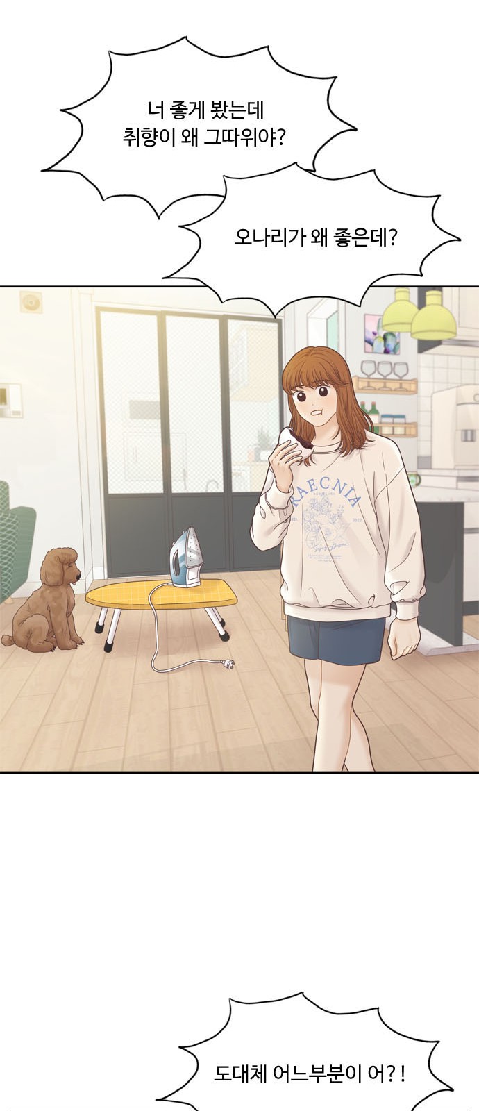 19 페이지