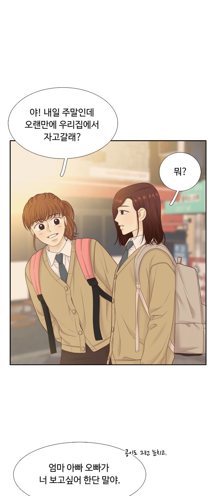 53 페이지