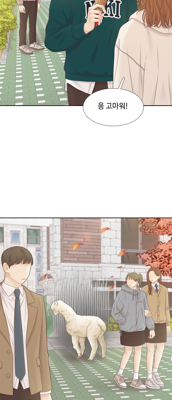 45 페이지