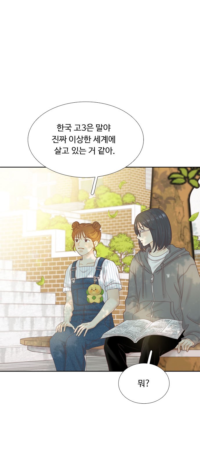 17 페이지
