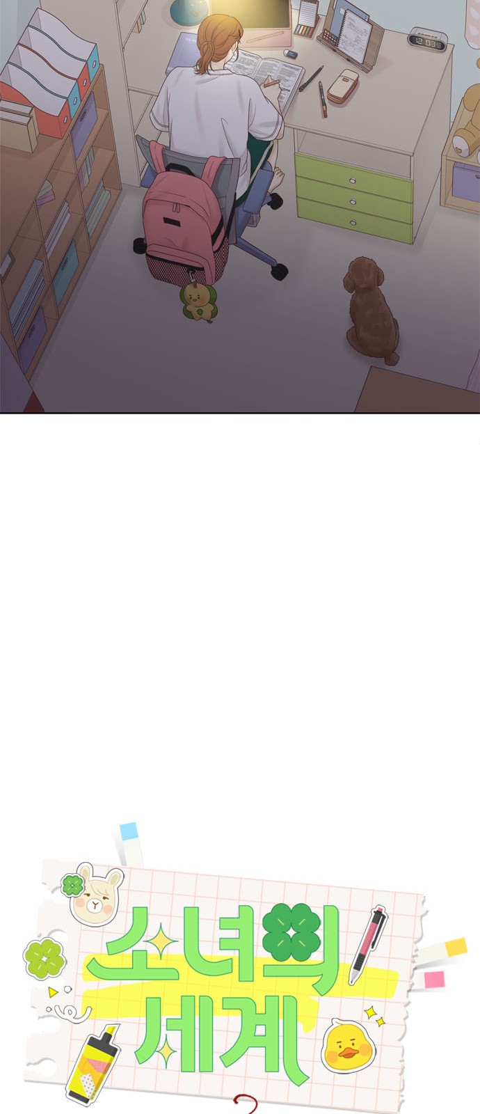 29 페이지