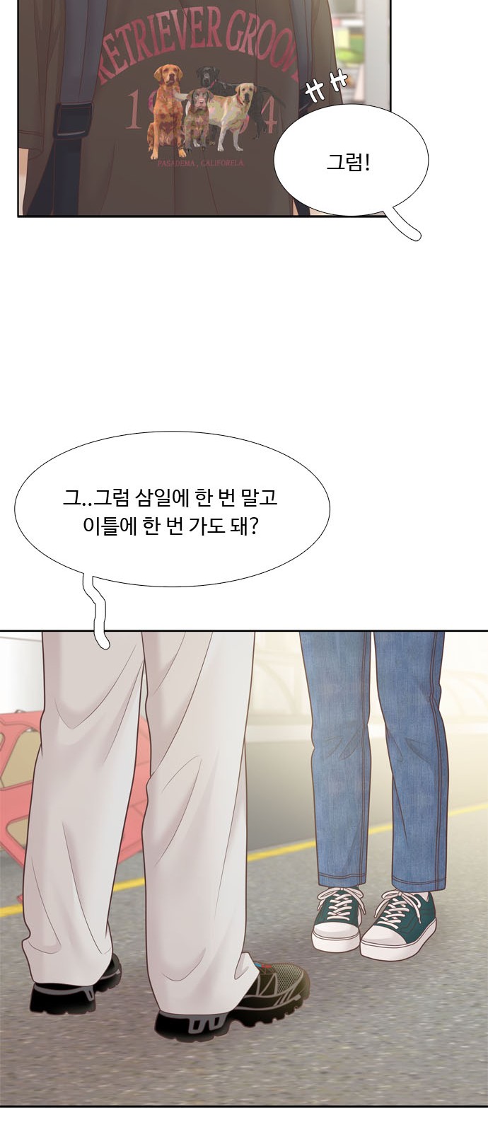 12 페이지