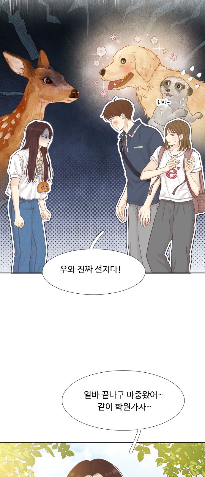62 페이지