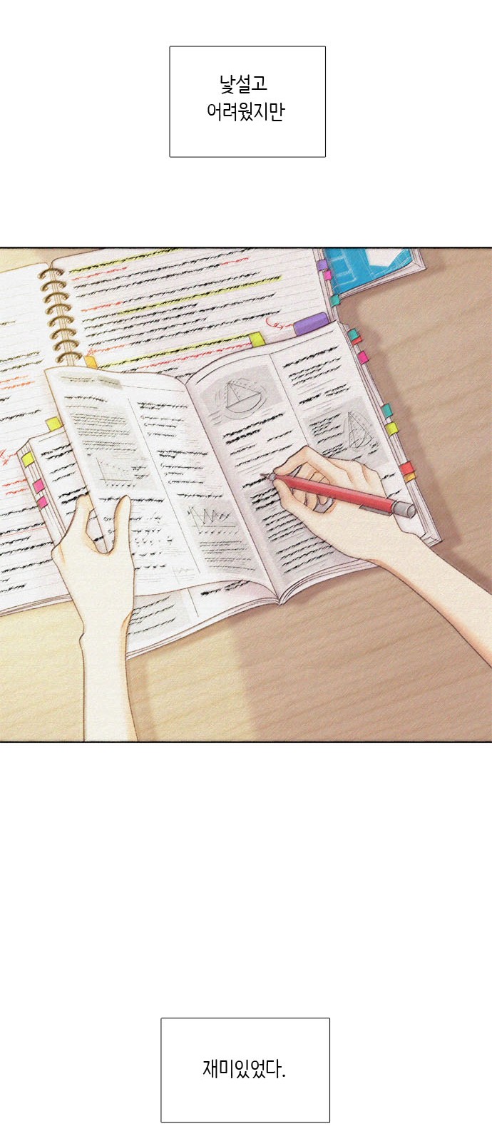 30 페이지