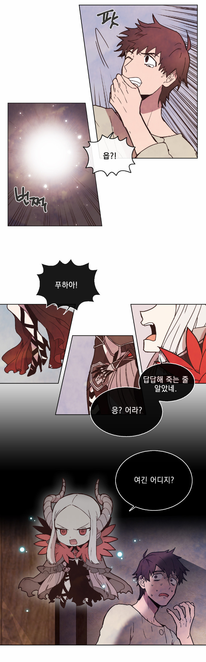 20 페이지