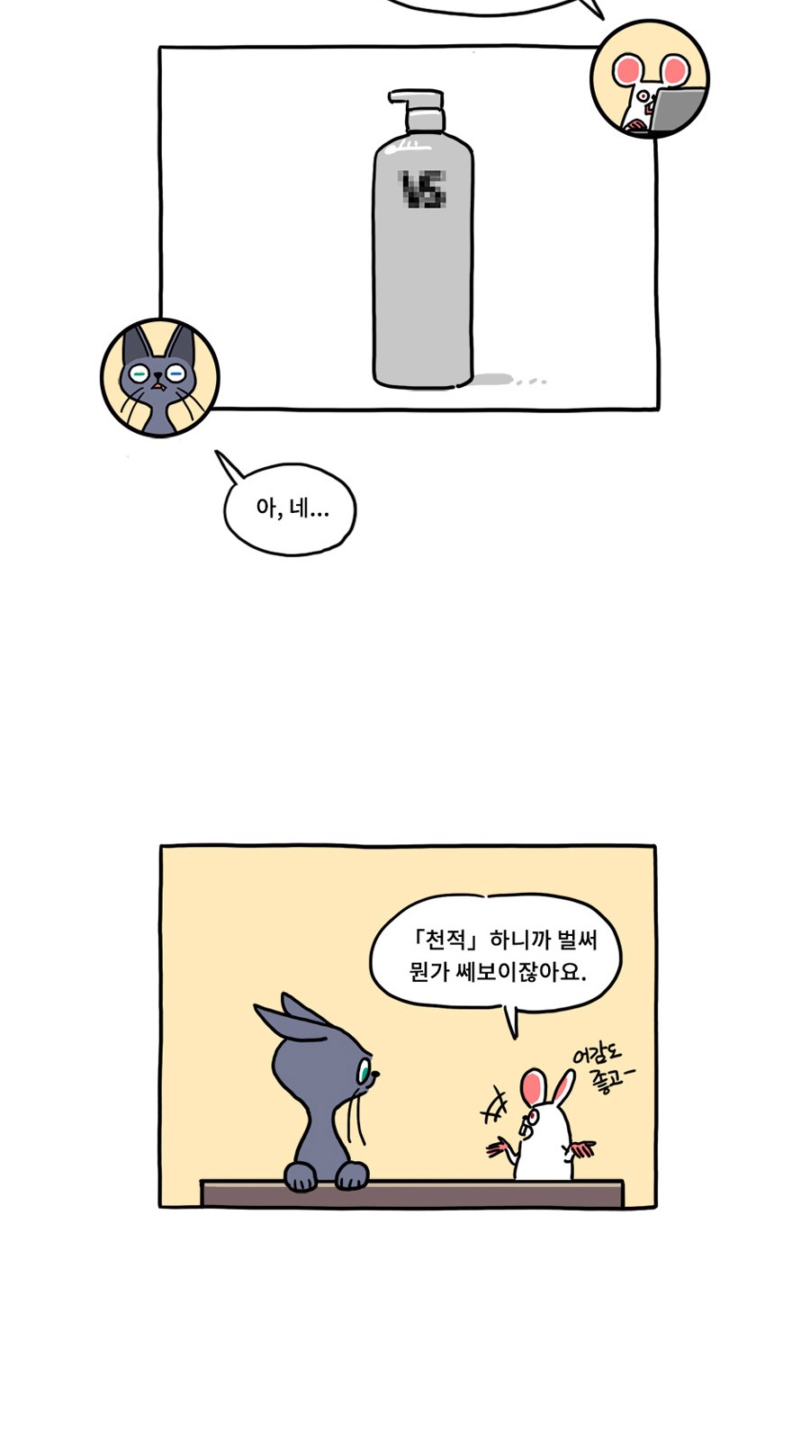 14 페이지