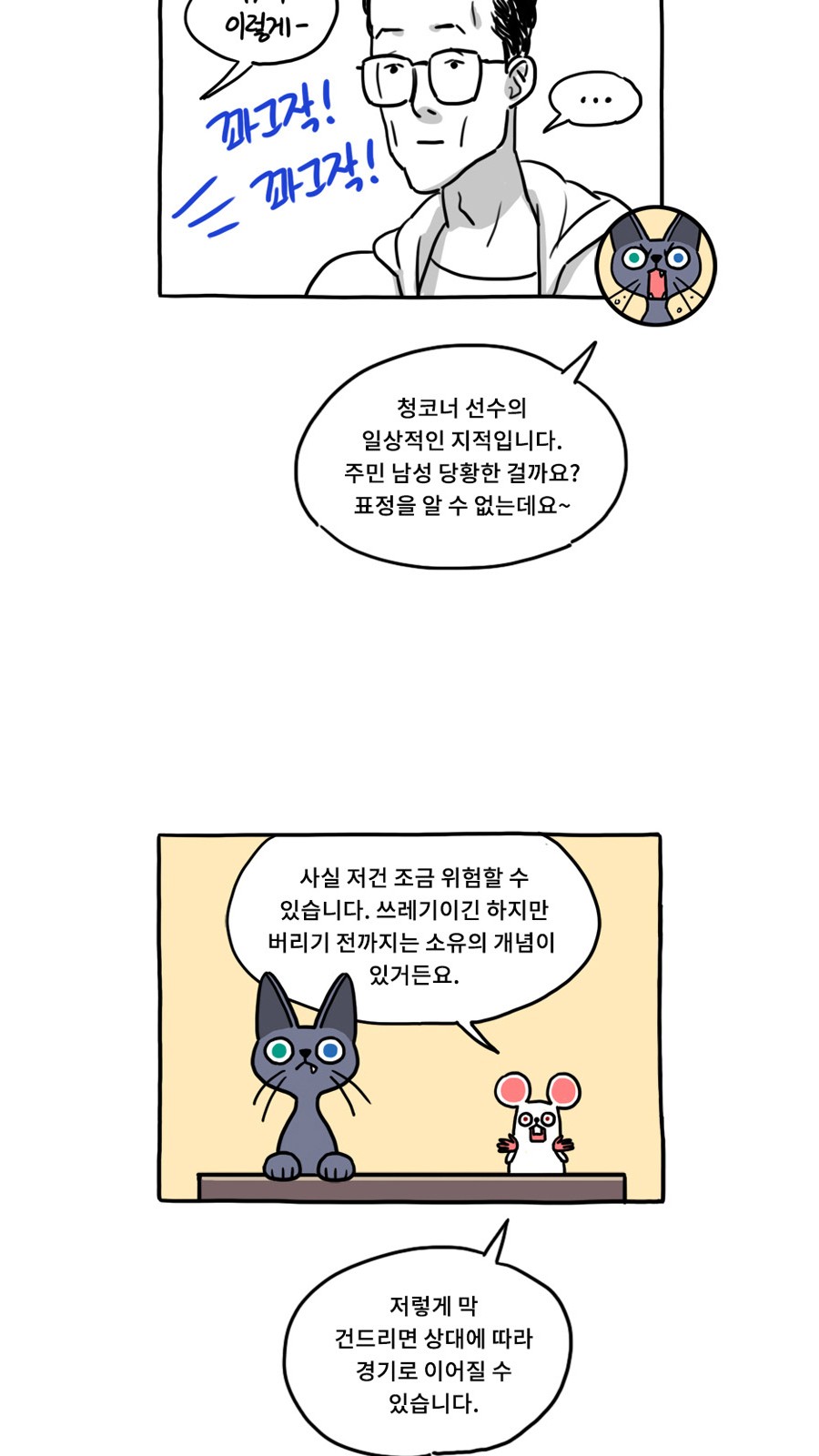 13 페이지