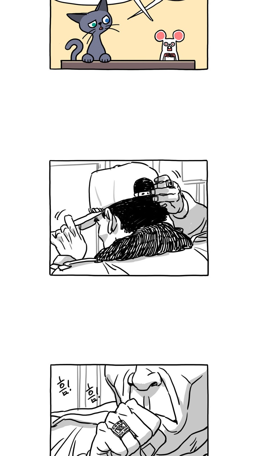 6 페이지