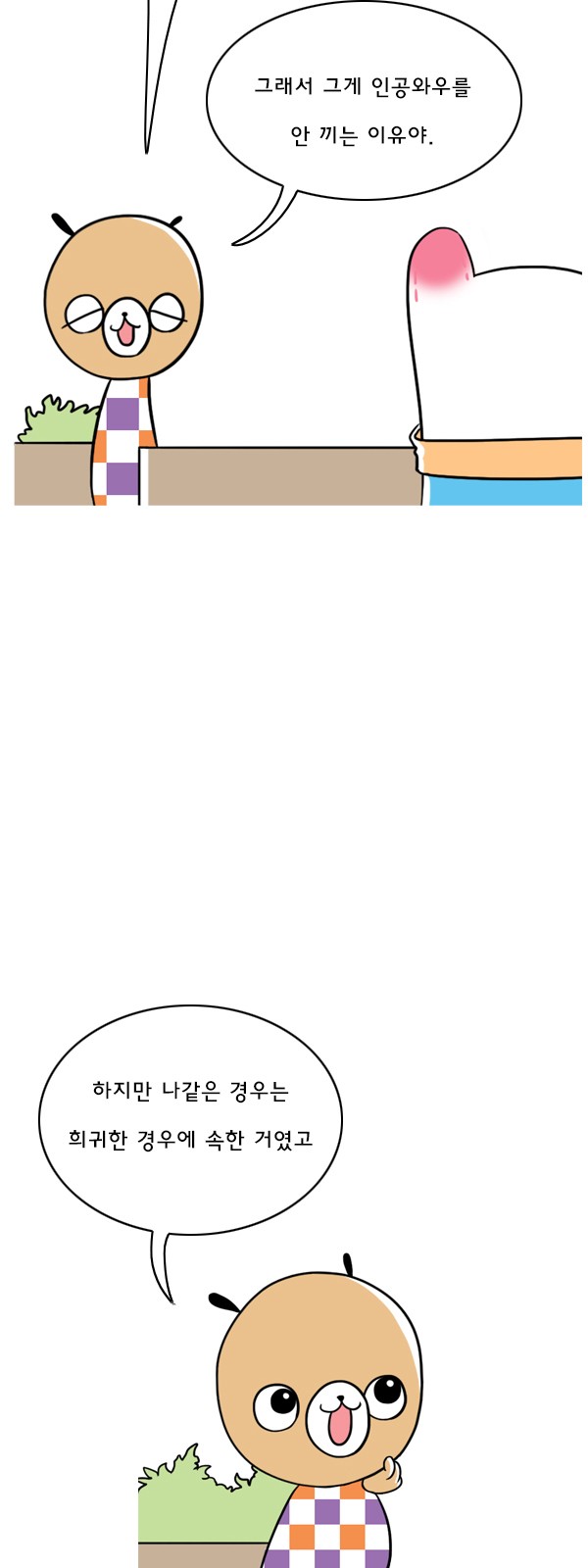 14 페이지