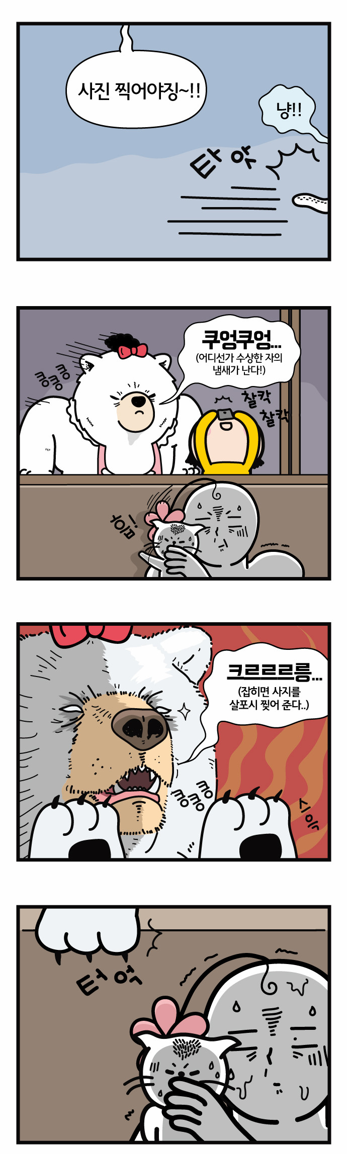 13 페이지