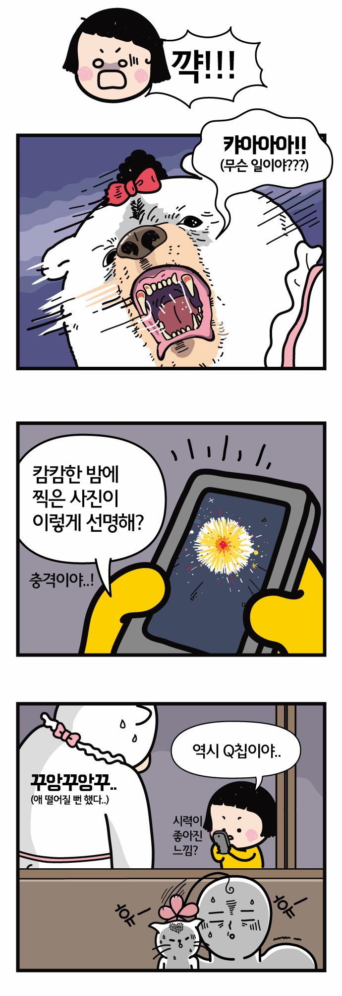 14 페이지