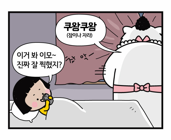15 페이지