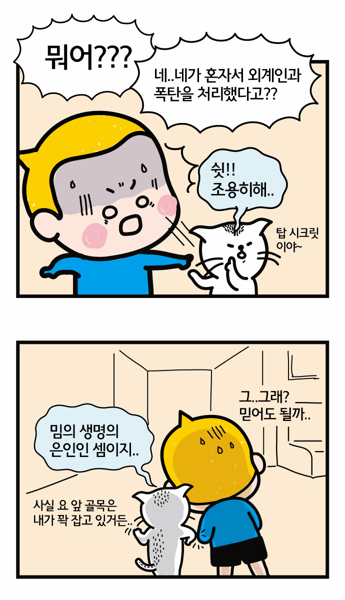 29 페이지