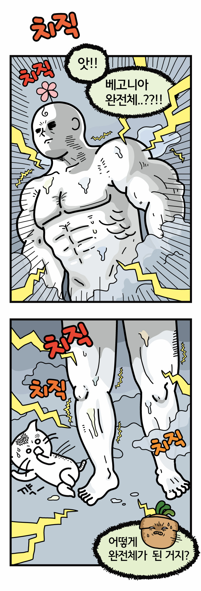 5 페이지