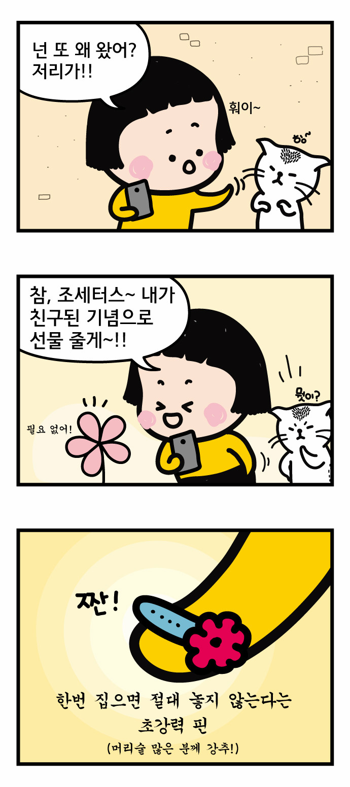 12 페이지