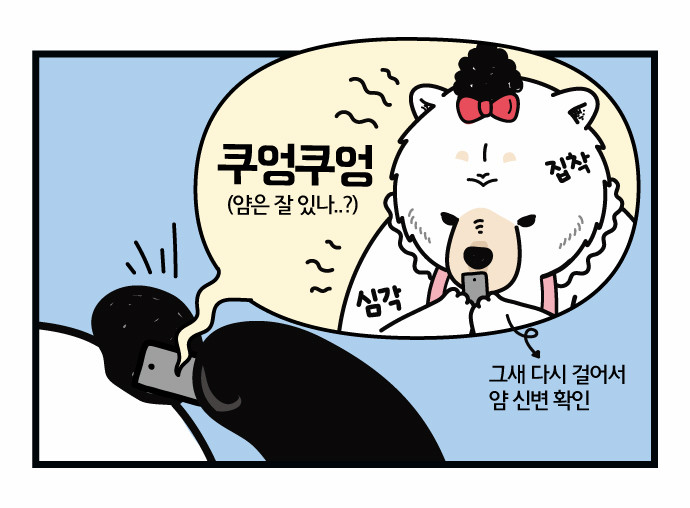 12 페이지
