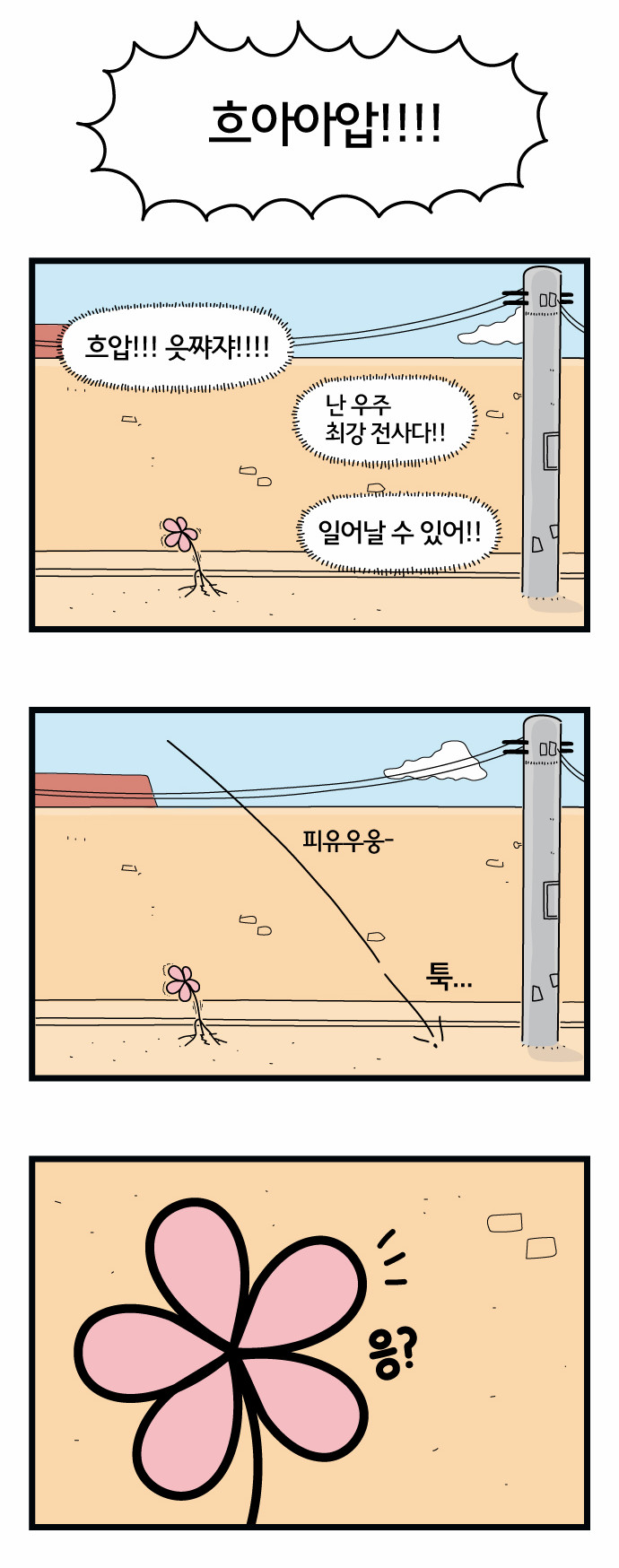 14 페이지