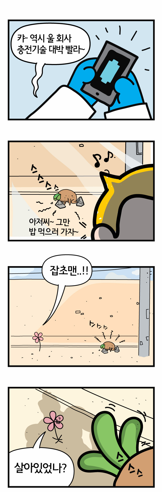 11 페이지
