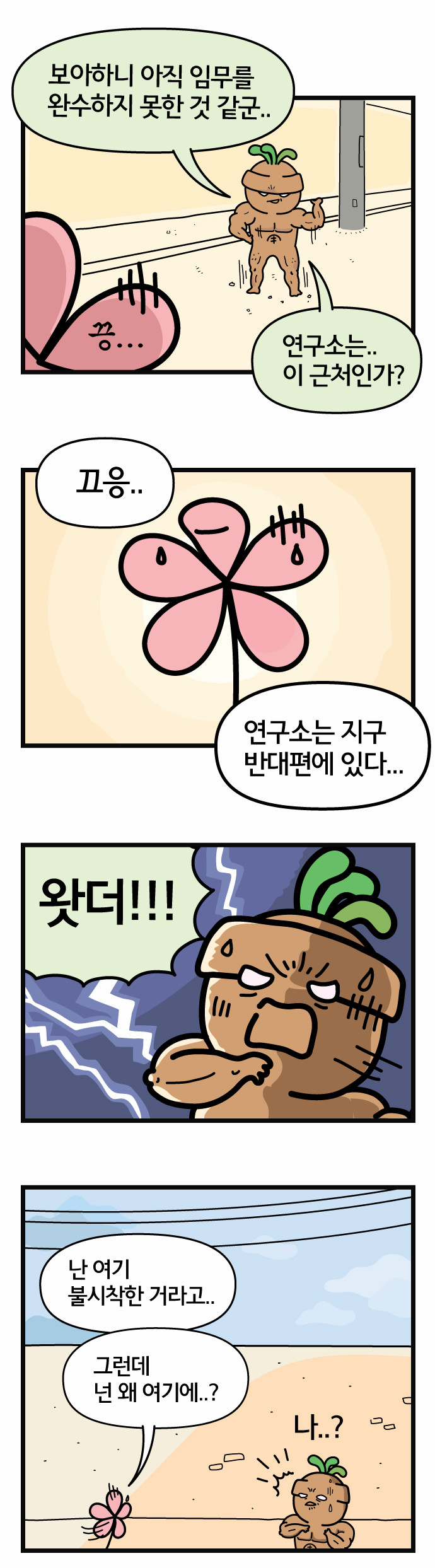 13 페이지