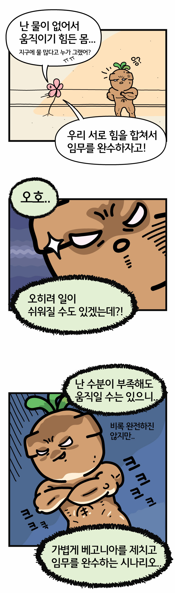15 페이지