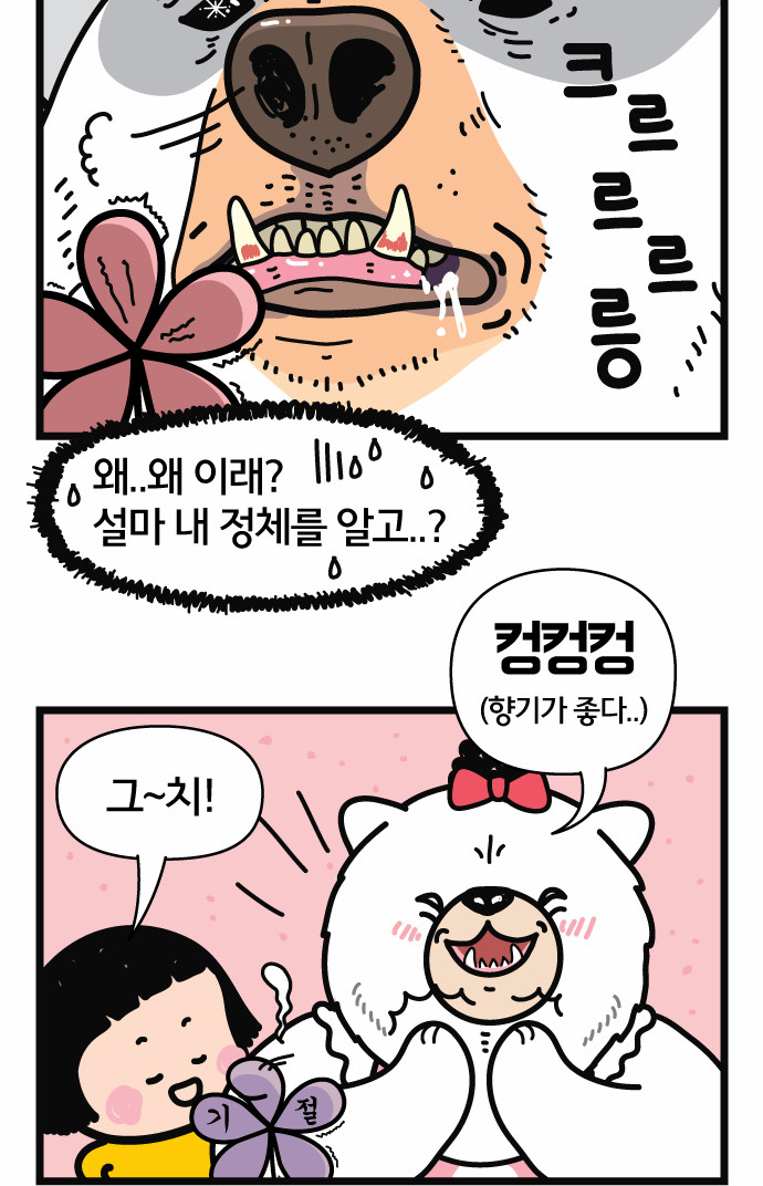 19 페이지